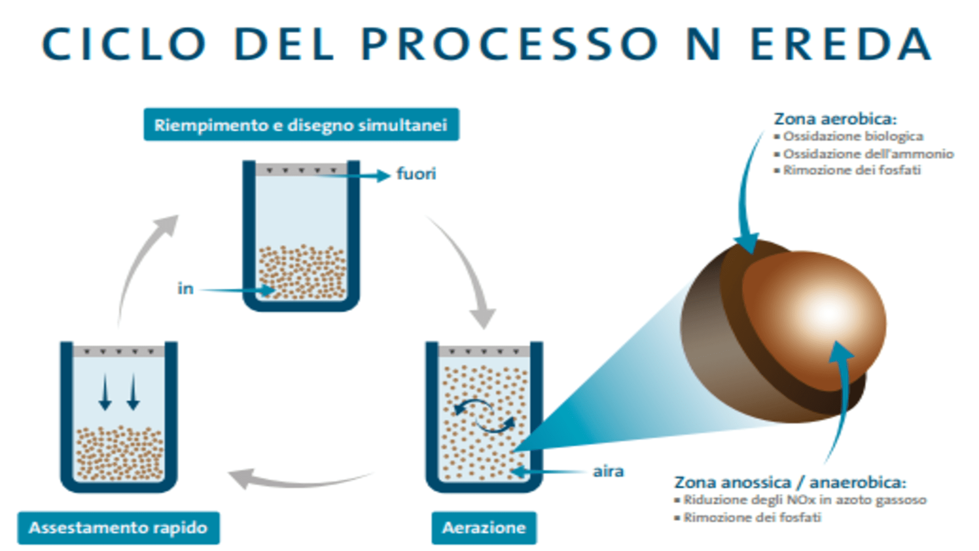 How Nereda® Biological wastewater treatment works