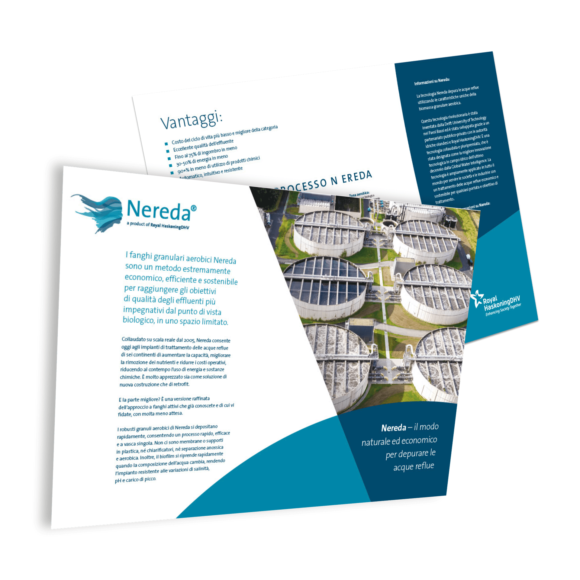 Nereda Flyer Mock-up