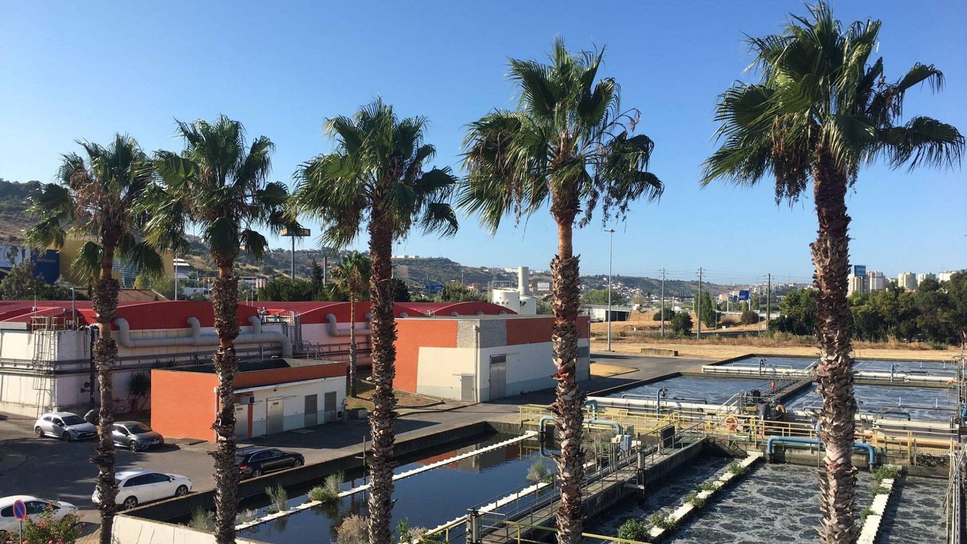 Temperature and wastewater treatment performance l Haskoning